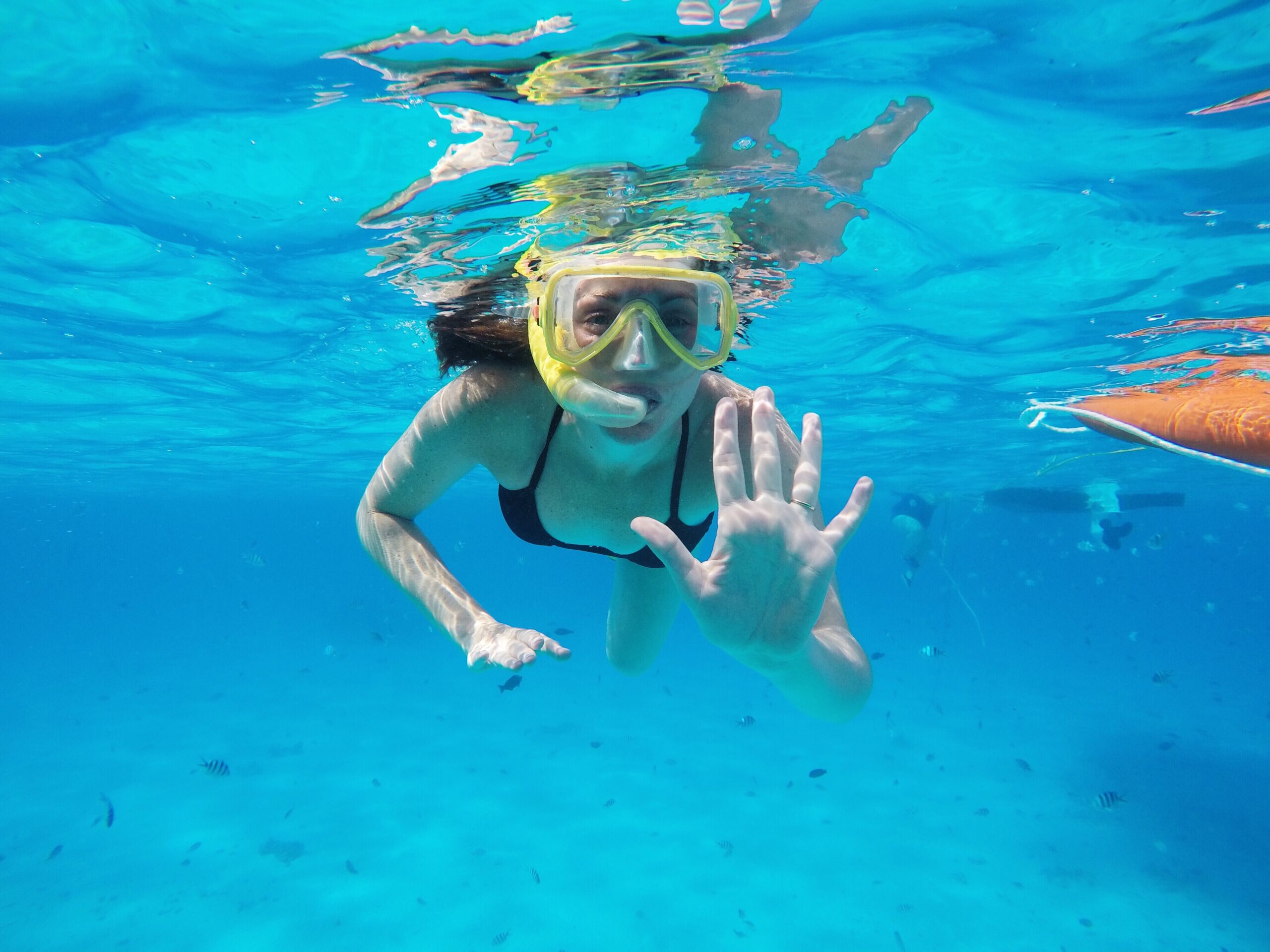 snorkeling-2023-11-27-05-10-58-utc